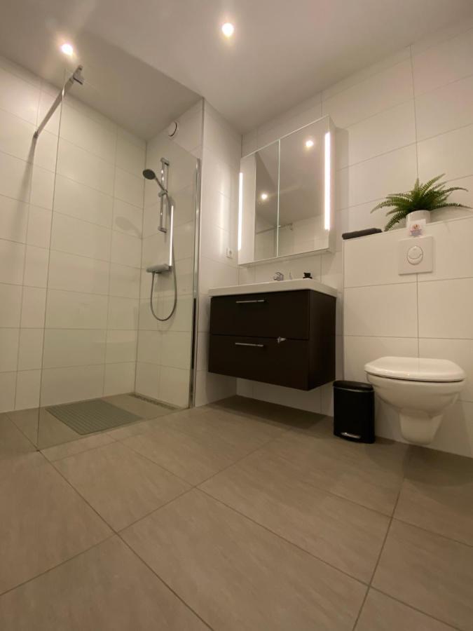 IJsvogel Apartment Bruinisse Esterno foto
